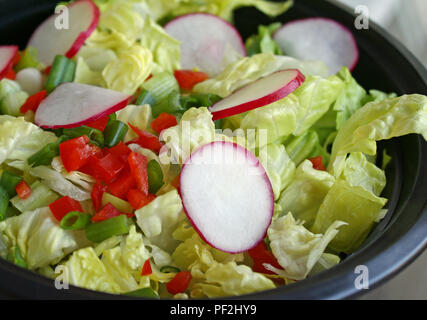 Frais jardin avec salade de poivrons rouges coupés en dés, les oignons verts, tranchés et radis laitue romaine hachée Banque D'Images