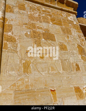 Le temple funéraire d'Hatchepsout, Deir el-Bahari, Louxor, Egypte, Afrique du Sud Banque D'Images