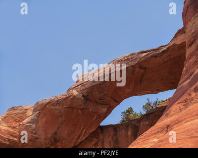 Passage de l'œil, Canyon de Rattlesnake, Black Ridge Wilderness Area, McInnis Canyons National Conservation Area, Grand Junction, Colorado. Banque D'Images