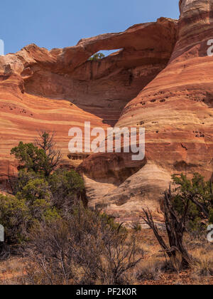 Passage de l'œil, Canyon de Rattlesnake, Black Ridge Wilderness Area, McInnis Canyons National Conservation Area, Grand Junction, Colorado. Banque D'Images