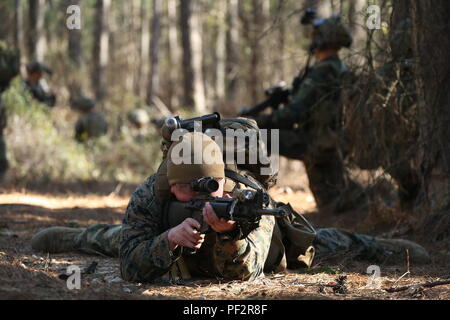 Raiders marines à partir de la Compagnie F, 2d Marine Raider bataillon, a mené une simulation de nation partenaire de travail sur les patrouilles de combat tactiques, techniques et procédures dans le cadre d'un exercice collectif de Fort Jackson, L.C., le 28 février 2016. Banque D'Images