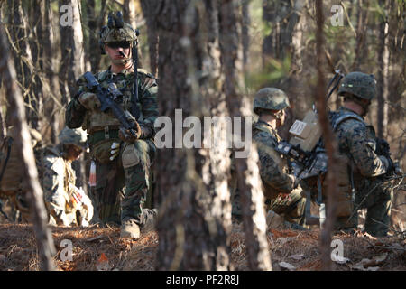 Raiders marines à partir de la Compagnie F, 2d Marine Raider bataillon, a mené une simulation de nation partenaire de travail sur les patrouilles de combat tactiques, techniques et procédures dans le cadre d'un exercice collectif de Fort Jackson, L.C., le 28 février 2016. Banque D'Images
