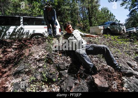 Feredico Fabriani, Royal Botanic Gardens, Kew. ..... ................. ................. Découverte de Madrense GreaterGood Expedición ORG que recaba datos que sirven como información de referencia para entender mejor las relaciones biológicas del Archipiélago Madrense y se usan para proteger y conservar las tierras virgenes de las Islas Serranas Sonorenses. Expedición binacional aye une un colaboradores de México y Canadá con experiencias y especialidades de las ciencias biológicas variadas, con la intención de aprender lo más posible sobre Mesa de Tres Ríos, la porción más norteña Banque D'Images