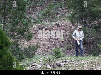 Feredico Fabriani, Royal Botanic Gardens, Kew. Botanica. Jardin Botanique . ..... ................. ................. Découverte de Madrense GreaterGood Expedición ORG que recaba datos que sirven como información de referencia para entender mejor las relaciones biológicas del Archipiélago Madrense y se usan para proteger y conservar las tierras virgenes de las Islas Serranas Sonorenses. Expedición binacional aye une un colaboradores de México y Canadá con experiencias y especialidades de las ciencias biológicas variadas, con la intención de aprender lo más posible sobre Mesa de Tres Ríos, l Banque D'Images