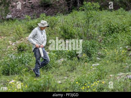 Feredico Fabriani, Royal Botanic Gardens, Kew. Botanica. Jardin Botanique . ..... ................. ................. Découverte de Madrense GreaterGood Expedición ORG que recaba datos que sirven como información de referencia para entender mejor las relaciones biológicas del Archipiélago Madrense y se usan para proteger y conservar las tierras virgenes de las Islas Serranas Sonorenses. Expedición binacional aye une un colaboradores de México y Canadá con experiencias y especialidades de las ciencias biológicas variadas, con la intención de aprender lo más posible sobre Mesa de Tres Ríos, l Banque D'Images