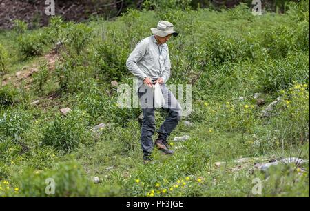 Feredico Fabriani, Royal Botanic Gardens, Kew. Botanica. Jardin Botanique . ..... ................. ................. Découverte de Madrense GreaterGood Expedición ORG que recaba datos que sirven como información de referencia para entender mejor las relaciones biológicas del Archipiélago Madrense y se usan para proteger y conservar las tierras virgenes de las Islas Serranas Sonorenses. Expedición binacional aye une un colaboradores de México y Canadá con experiencias y especialidades de las ciencias biológicas variadas, con la intención de aprender lo más posible sobre Mesa de Tres Ríos, l Banque D'Images