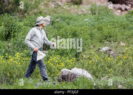 Feredico Fabriani, Royal Botanic Gardens, Kew. Botanica. Jardin Botanique . ..... ................. ................. Découverte de Madrense GreaterGood Expedición ORG que recaba datos que sirven como información de referencia para entender mejor las relaciones biológicas del Archipiélago Madrense y se usan para proteger y conservar las tierras virgenes de las Islas Serranas Sonorenses. Expedición binacional aye une un colaboradores de México y Canadá con experiencias y especialidades de las ciencias biológicas variadas, con la intención de aprender lo más posible sobre Mesa de Tres Ríos, l Banque D'Images