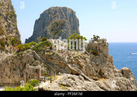 Faraglioni de Capri vue entre branches d'arbres, l'île de Capri, Italie Banque D'Images
