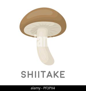 L'icône de shiitake dans cartoon style isolé sur fond blanc. Illustration vecteur symbole de champignons. Illustration de Vecteur