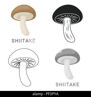 Agaricus,art,cap,caricature,champignon,champignons,cuisine,dessin,design,manger,élément,comestibles,gravure,gravure,alimentation,forêt,frais,fraîcheur,champignon,graphique,santé,croissance saine,icône,,illustration,logo,isolé,maitake,marche,DE,repas,champignons,naturel,champignons,nature,biologique,huîtres,pizza,plantes,rétro,shiitake symbole,tige,toadstool,légumes,végétarien,vintage,web,blanc,vecteurs vecteur , Illustration de Vecteur