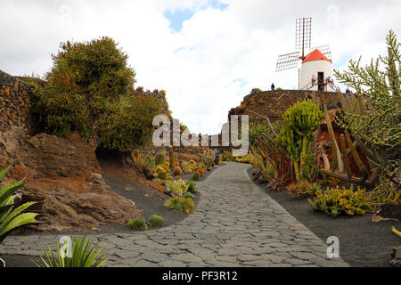 Vue sur jardin de cactus avec moulin, jardin de cactus à Guatiza, Lanzarote, îles Canaries, Espagne Banque D'Images