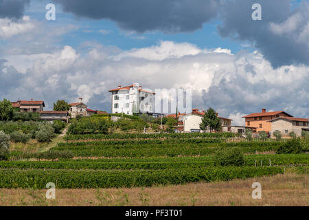 Village de Ceglo, aussi Zegla en slovène célèbre région viticole de Goriska Brda, de vignobles et de vergers, éclairée par le soleil et nuages en arrière-plan Banque D'Images