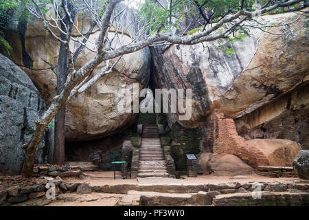 Escaliers entre d'énormes rochers avec orange tree à Sigiriya, Sri Lanka Banque D'Images