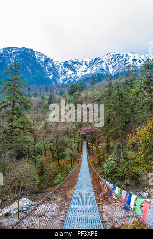 Pont suspendu au-dessus de la rivière de montagne sur le printemps au Népal. Banque D'Images