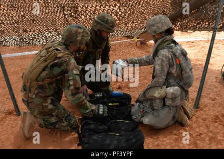 Fort Bliss, Texas - Gizela Lupescu, spécialiste de l'assistant médical de combat 230e Bataillon de soutien de la Brigade, examine les éléments inclus dans un sac à l'infirmiers militaires moldaves incrusté dans son unité. L'armée moldave est une partie de l'État du Bureau de la Garde nationale Programme de partenariat avec la Garde nationale de Caroline du Nord. Le 230e fait partie de la 30e Brigade blindée contre les volumes exportables (capacité de formation XCTC) de l'exercice. L'exercice est l'un des 30e plus grand exercice dans l'histoire récente, avec plus de 4 000 soldats citoyens à partir de la Caroline du Nord, Caroline du Sud, West Virginia, Minnesota, et le pays de Banque D'Images