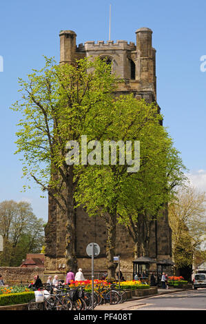 West Street. Chichester Le clocher ou Campanile et les platanes. Banque D'Images