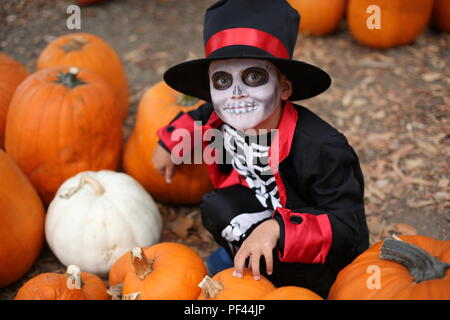 Trick or Treat. Garçon dans un costume d'Halloween de squelette avec chapeau et fumeurs entre les citrouilles orange Banque D'Images