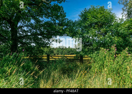 Parc du levier, Rivington, Bolton, Angleterre Banque D'Images