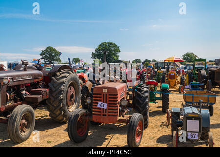 Vintage tracteurs sur l'affichage à vapeur Welland Worcestershire Rallye UK. Juillet 2018les roues, Banque D'Images