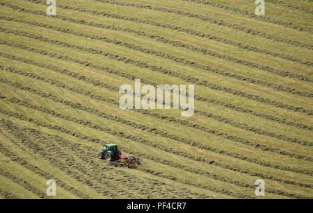 Un tracteur dans un champ, le ratissage de l'herbe coupée en lignes avant la mise en balles pour l'alimentation animale. Banque D'Images