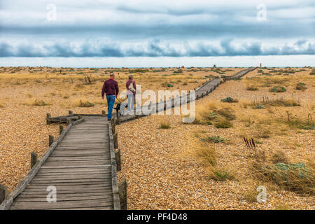 Couple,Balade,Chien,plage,Galets,Dormeur,Angleterre,Kent,UK Banque D'Images