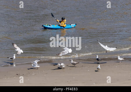 Homme kayak sur la Tamise à Londres Angleterre Royaume-Uni UK Banque D'Images