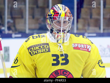 18 août 2018 - Garmisch-Partenkirchen, Allemagne - Pascal CAMINADA (Berne), .le hockey sur glace, tournoi de préparation Red Bulls Salute 2018, Red Bull Salzbourg vs SC Berne. Olympia Patinoire, Garmisch-Partenkirchen, Germaany, .les équipes de Salzbourg et Berne jouer pour la victoire dans ce tournoi de préparation traditionnel Crédit : Wolfgang Fehrmann/ZUMA/Alamy Fil Live News Banque D'Images