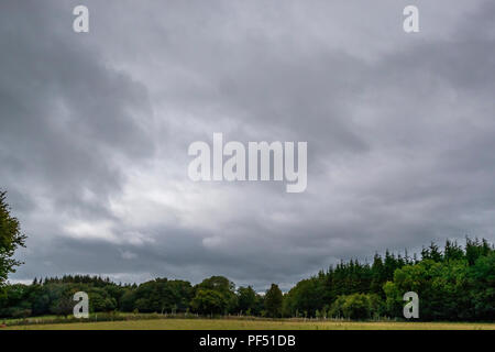 Sombres nuages sur un champ à franges, Monmouthshire. Banque D'Images