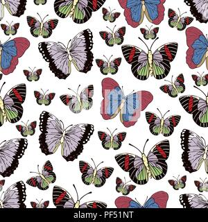 Dessin animé papillon motif transparent, vector background. L'Abstraction tirée avec insectes ailes pastel colorés sur fond blanc. Pour le tissu des Illustration de Vecteur