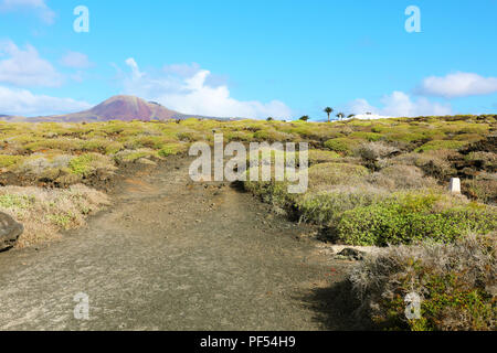 Avec un paysage extraordinaire avec volcan cratère La Corona sur l'arrière-plan, Lanzarote, Îles Canaries Banque D'Images