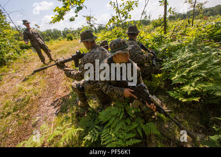 Snipers Scout avec 3e Bataillon, 25e Régiment de Marines, la sécurité à 360 degrés avant de pratiquer un passage de zone de danger lors de l'exercice Northern Strike au Camp Grayling, Michigan, le 11 août, 2018. L'exercice Northern Strike est un bureau de la Garde nationale de formation parrainée par l'exercice qui unit les membres en service de plusieurs branches, membres et pays de la coalition à mener des opérations de combat terrestre et aérien. (U.S. Marine Corps photo par le Cpl. Niles Lee) Banque D'Images