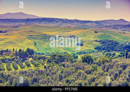 Beau paysage, printemps nature. Vue de dessus de beaux champs et plantations d'oliviers sur les collines de Toscane, Italie Banque D'Images