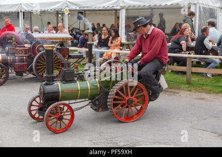 Jusqu'à vapeur, des moteurs d'arriver pour le grand bain à vapeur, Blandford Dorset juste, Dorset, UK Banque D'Images