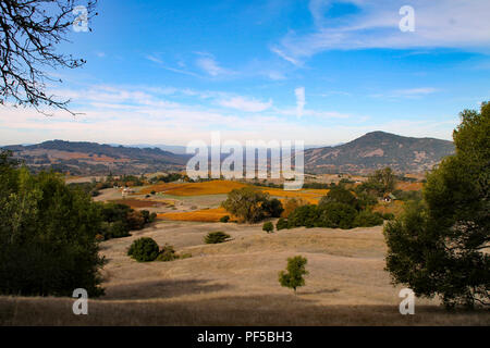 Belle vue sur le haut de Sonoma Mountain Regional Park, CA Banque D'Images