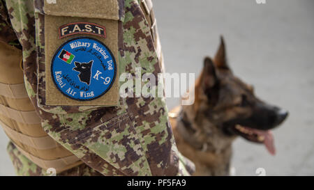 L'escadre aérienne de Kaboul, Afghanistan (9 août 2018) les chiens de travail militaire sont une nouvelle capacité pour l'Afghan Air Force le 9 août 2018, l'Escadre aérienne de Kaboul, Afghanistan. Ces chiens très bien formés sont utilisés pour assurer la sécurité et pour le peuple afghan secruity Base Aérienne. (U.S. Air Force photo de Tech. Le Sgt. Nancy C. Kasberg) Banque D'Images