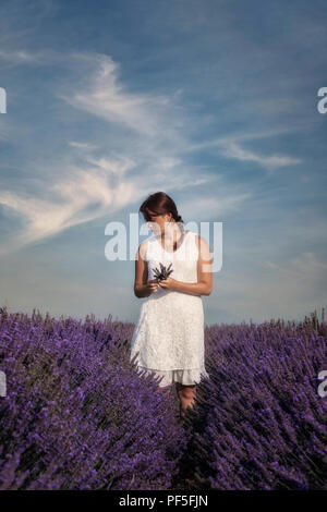 Une jeune fille en robe blanche debout dans un champ de lavande en Provence, France Banque D'Images