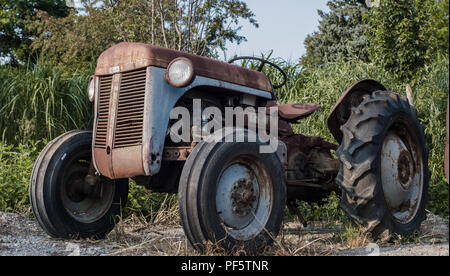 Un vintage Ferguson TE20 tracteur agricole à la casse. Banque D'Images