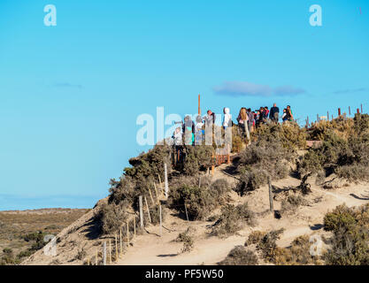 Punta Norte, la Péninsule de Valdès, Site du patrimoine mondial de l'UNESCO, la Province de Chubut, en Patagonie, Argentine Banque D'Images