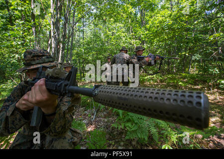 Le sergent du Corps des Marines des États-Unis. David, un Bloxton avec sniper scout 3e Bataillon, 25e Régiment de Marines, des postes de sécurité, tout en son équipe de traverser une zone de danger des pratiques lors de l'exercice Northern Strike au Camp Grayling, Michigan, le 11 août, 2018. L'exercice Northern Strike est un bureau de la Garde nationale de formation parrainée par l'exercice qui unit les membres en service de plusieurs branches, membres et pays de la coalition à mener des opérations de combat terrestre et aérien. (U.S. Marine Corps photo par le Cpl. Niles Lee) Banque D'Images