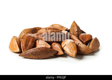 Canarium ovatum connu sous le nom de noix de pili des Philippines. Banque D'Images