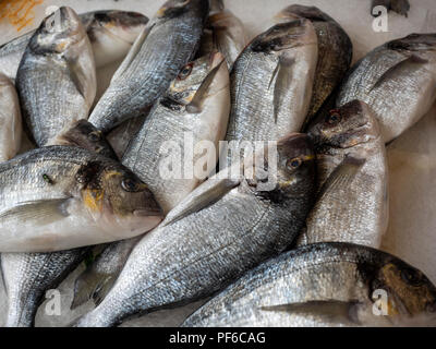 Poisson de dorade à tête dorée sur un marché italien Banque D'Images