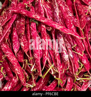 Haricots rouges Borlotti à vendre sur un marché en Italie Banque D'Images