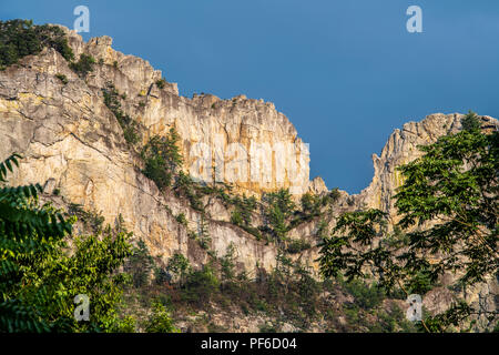 Seneca Rocks vue depuis le nord de la Virginie de l'ouest -une populaire destination de loisirs et de l'escalade de rocher Banque D'Images