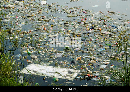 Sacs en plastique, bouteilles et autres déchets dans le lac Pichola, Udaipur, Inde Banque D'Images