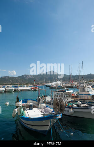 Le port de Calvi, La Balagne, Corse, France, Europe Banque D'Images