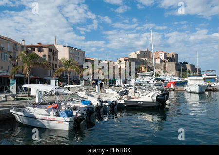 Le port de Calvi avec l'ancienne citadelle derrière, La Balagne, Corse, France, Europe Banque D'Images