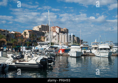 Le port de Calvi avec l'ancienne citadelle derrière, La Balagne, Corse, France, Europe Banque D'Images