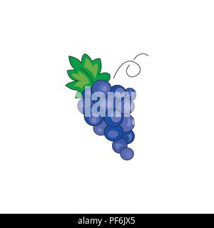 Illustration vecteur de couleur. L'icône de raisins sur fond blanc Illustration de Vecteur