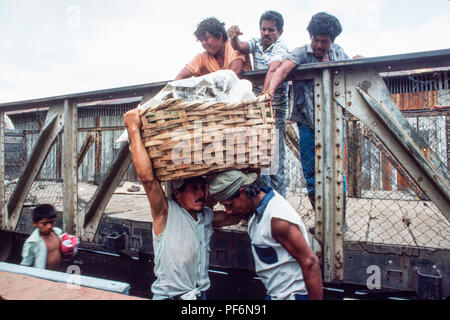 Managua, Nicaragua, 12 février 1990 ; les hommes de décharger un panier de papayes d'un train de marchandises à Managua. Banque D'Images