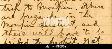 . Journal No. II [2], le 29 janvier 1928-27 mai 1928. L'entomologie, ornithologie, mammalogie ; Ichthyologie ; . . Veuillez noter que ces images sont extraites de la page numérisée des images qui peuvent avoir été retouchées numériquement pour plus de lisibilité - coloration et l'aspect de ces illustrations ne peut pas parfaitement ressembler à l'œuvre originale.. Graham, David Crockett. Banque D'Images